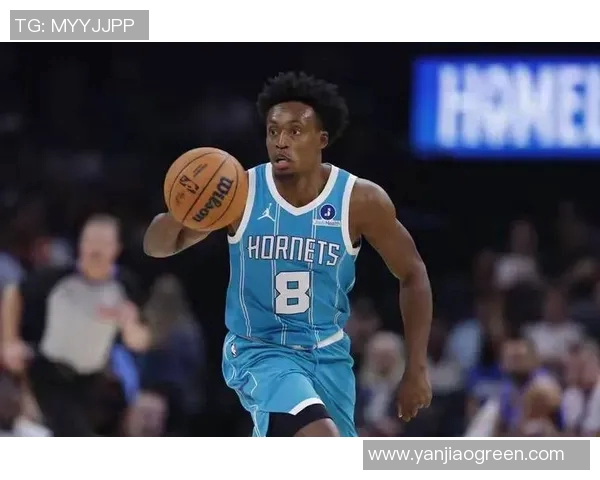 纽约尼克斯对阵黄蜂的精彩对决分析与赛后点评 纽约尼克斯对阵黄蜂的精彩对决分析与赛后点评