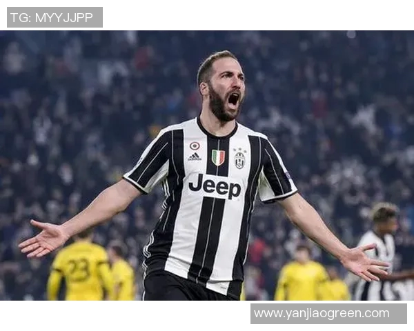 延雪平与埃尔夫的精彩对决分析及赛季展望