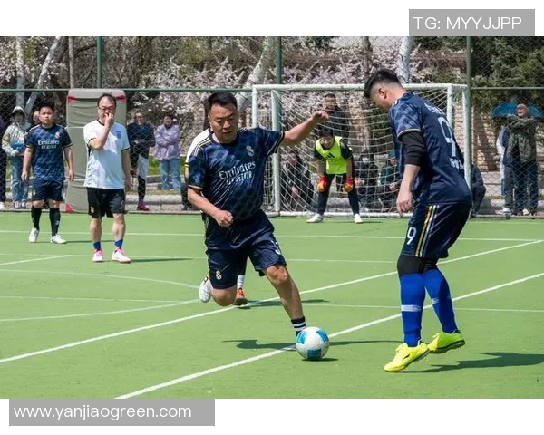 林茨与岽的较量揭示足球战术的魅力与激情 林茨与岽的较量揭示足球战术的魅力与激情