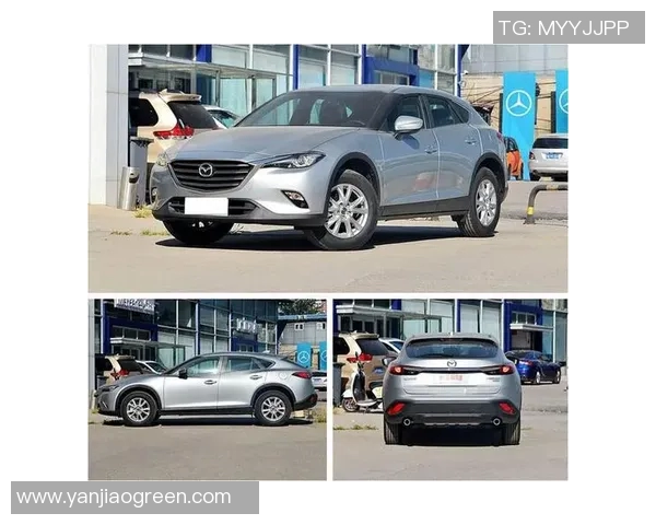 彼得堡与福利特激战正酣谁能在这场对决中笑到最后